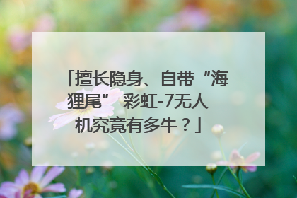 擅长隐身、自带“海狸尾” 彩虹-7无人机究竟有多牛？
