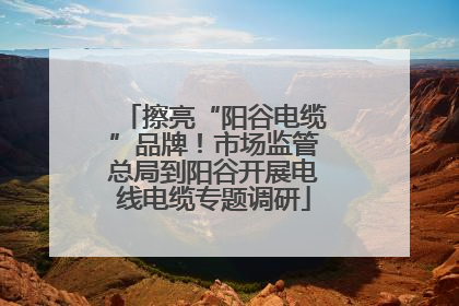 擦亮“阳谷电缆”品牌！市场监管总局到阳谷开展电线电缆专题调研