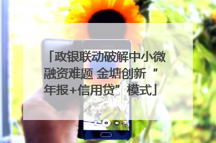 政银联动破解中小微融资难题 金塘创新“年报+信用贷”模式