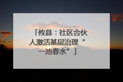攸县：社区合伙人激活基层治理“一池春水”