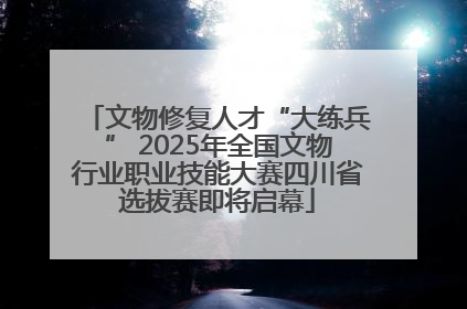 文物修复人才“大练兵” 2025年全国文物行业职业技能大赛四川省选拔赛即将启幕