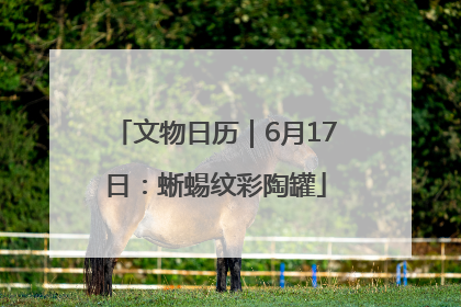 文物日历｜6月17日：蜥蜴纹彩陶罐