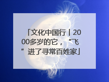 文化中国行丨2000多岁的它，“飞”进了寻常百姓家