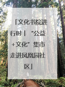 文化书院进行时丨“公益+文化”集市走进凤凰园社区