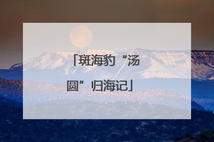斑海豹“汤圆”归海记