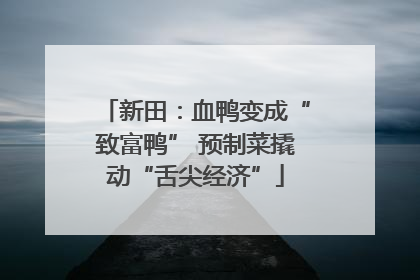 新田：血鸭变成“致富鸭” 预制菜撬动“舌尖经济”
