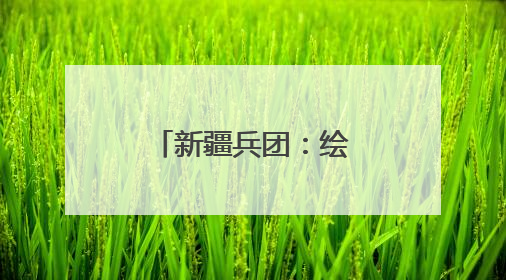 新疆兵团：绘就绿富同兴乡村振兴新图景