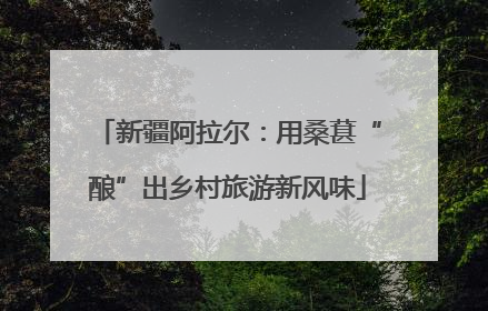 新疆阿拉尔：用桑葚“酿”出乡村旅游新风味