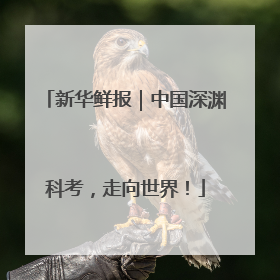 新华鲜报｜中国深渊科考，走向世界！