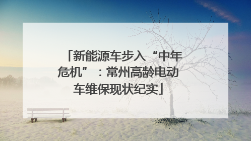 新能源车步入“中年危机”：常州高龄电动车维保现状纪实