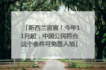 新西兰官宣！今年11月起，中国公民符合这个条件可免签入境