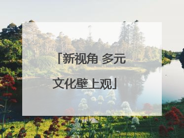 新视角 多元文化壁上观