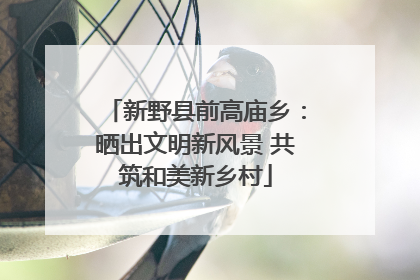 新野县前高庙乡：晒出文明新风景 共筑和美新乡村