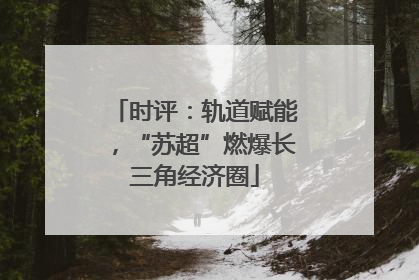 时评：轨道赋能，“苏超”燃爆长三角经济圈