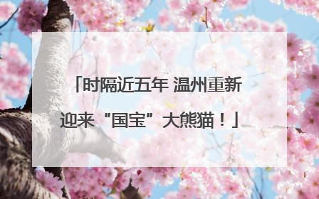时隔近五年 温州重新迎来“国宝”大熊猫！