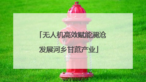 无人机高效赋能澜沧发展河乡甘蔗产业