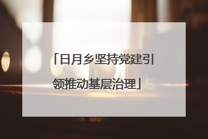 日月乡坚持党建引领推动基层治理