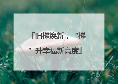 旧梯焕新，“梯”升幸福新高度