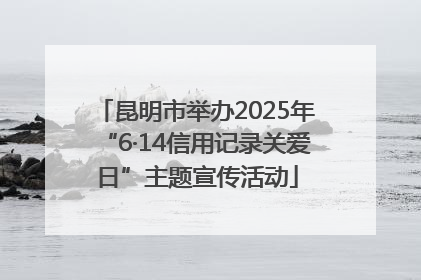 昆明市举办2025年“6·14信用记录关爱日”主题宣传活动