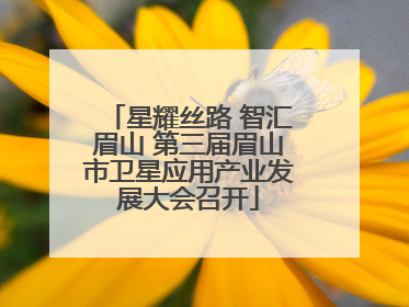 星耀丝路 智汇眉山 第三届眉山市卫星应用产业发展大会召开