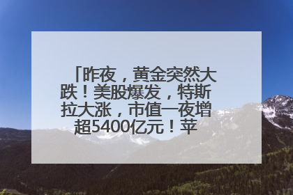 昨夜，黄金突然大跌！美股爆发，特斯拉大涨，市值一夜增超5400亿元！苹果传来大消息
