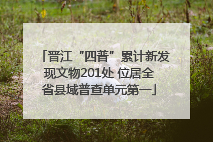 晋江“四普”累计新发现文物201处 位居全省县域普查单元第一