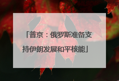 普京：俄罗斯准备支持伊朗发展和平核能