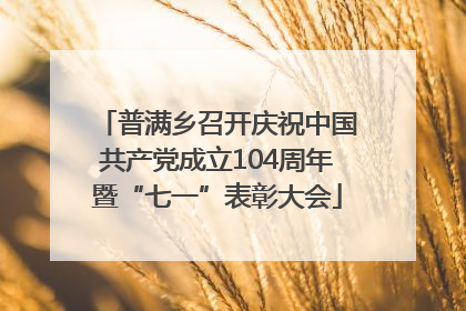 普满乡召开庆祝中国共产党成立104周年暨“七一”表彰大会