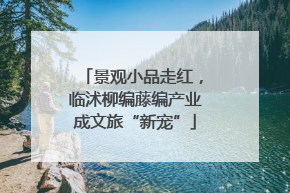景观小品走红，临沭柳编藤编产业成文旅“新宠”