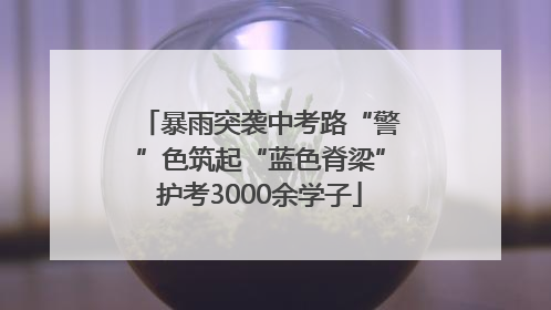 暴雨突袭中考路“警”色筑起“蓝色脊梁”护考3000余学子