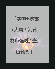 暴雨+冰雹+大风！河南发布强对流蓝色预警