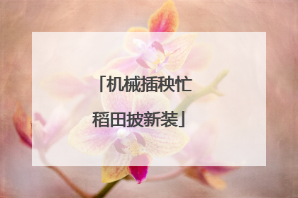 机械插秧忙 稻田披新装