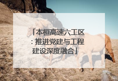 本桓高速六工区：推进党建与工程建设深度融合
