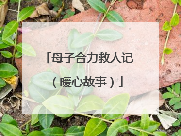 母子合力救人记（暖心故事）