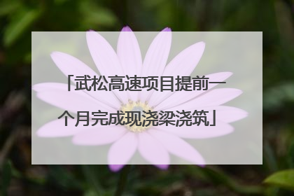 武松高速项目提前一个月完成现浇梁浇筑