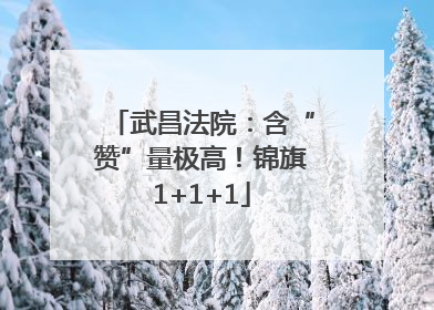 武昌法院：含“赞”量极高！锦旗1+1+1