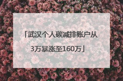 武汉个人碳减排账户从3万暴涨至160万
