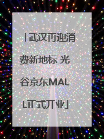 武汉再迎消费新地标 光谷京东MALL正式开业