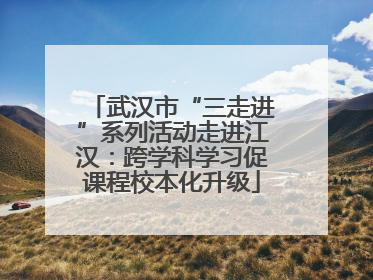 武汉市“三走进”系列活动走进江汉：跨学科学习促课程校本化升级