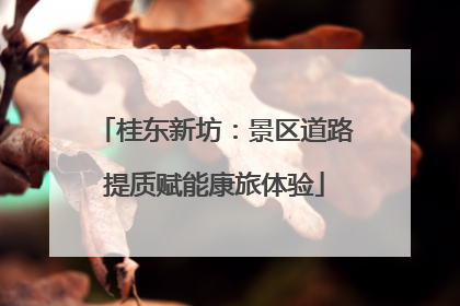 桂东新坊：景区道路提质赋能康旅体验