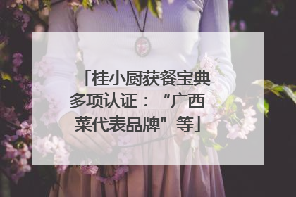 桂小厨获餐宝典多项认证：“广西菜代表品牌”等