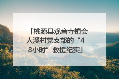 桃源县观音寺镇会人溪村党支部的“48小时”救援纪实