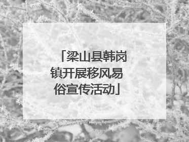 梁山县韩岗镇开展移风易俗宣传活动