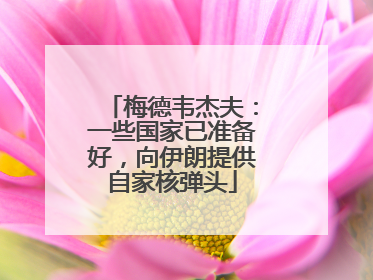 梅德韦杰夫：一些国家已准备好，向伊朗提供自家核弹头