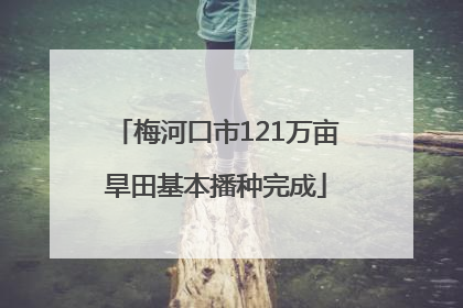梅河口市121万亩旱田基本播种完成