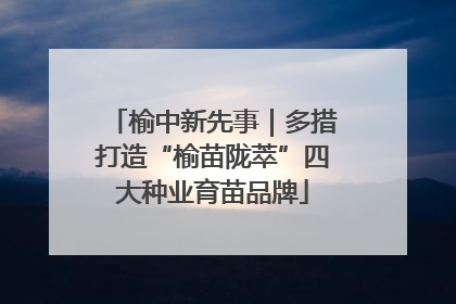 榆中新先事｜多措打造“榆苗陇萃”四大种业育苗品牌