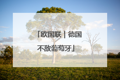 欧国联｜德国不敌葡萄牙