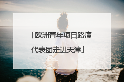 欧洲青年项目路演代表团走进天津