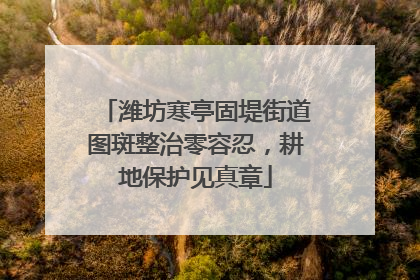 潍坊寒亭固堤街道图斑整治零容忍，耕地保护见真章