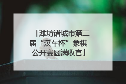 潍坊诸城市第二届“汉车杯”象棋公开赛圆满收官